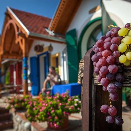 Bagoly Pincesor Fogado Bed & Breakfast Pécs Eksteriør bilde