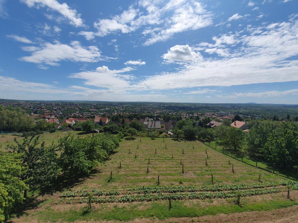 Bagoly Pincesor Fogado Bed & Breakfast Pécs Eksteriør bilde