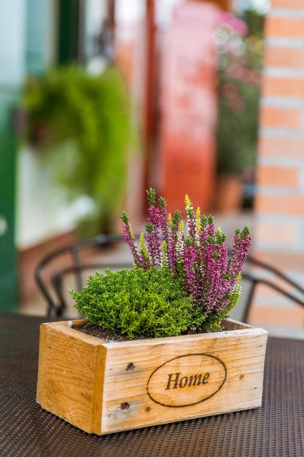Bagoly Pincesor Fogado Bed & Breakfast Pécs Eksteriør bilde