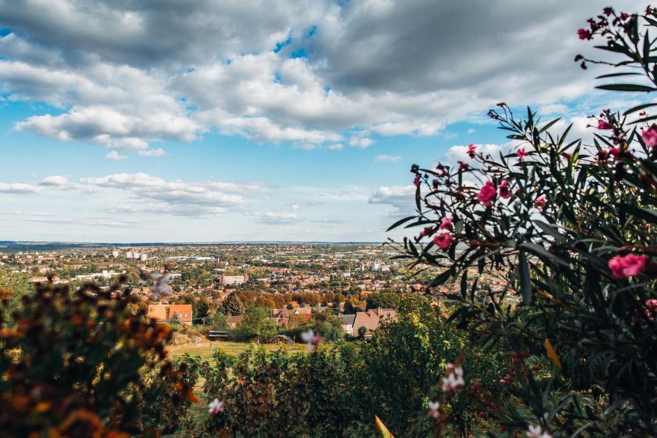 Bagoly Pincesor Fogado Bed & Breakfast Pécs Eksteriør bilde