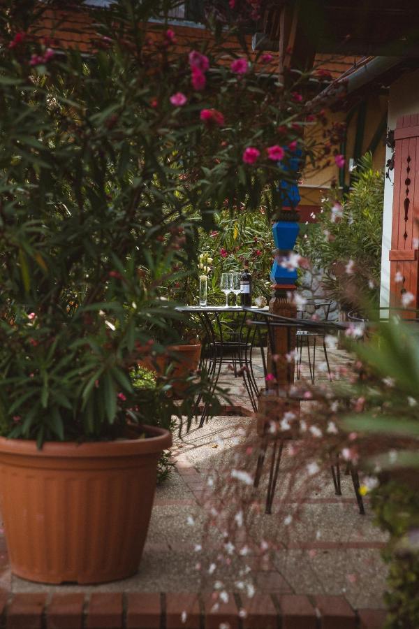 Bagoly Pincesor Fogado Bed & Breakfast Pécs Eksteriør bilde